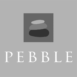 Pebble of Budleigh